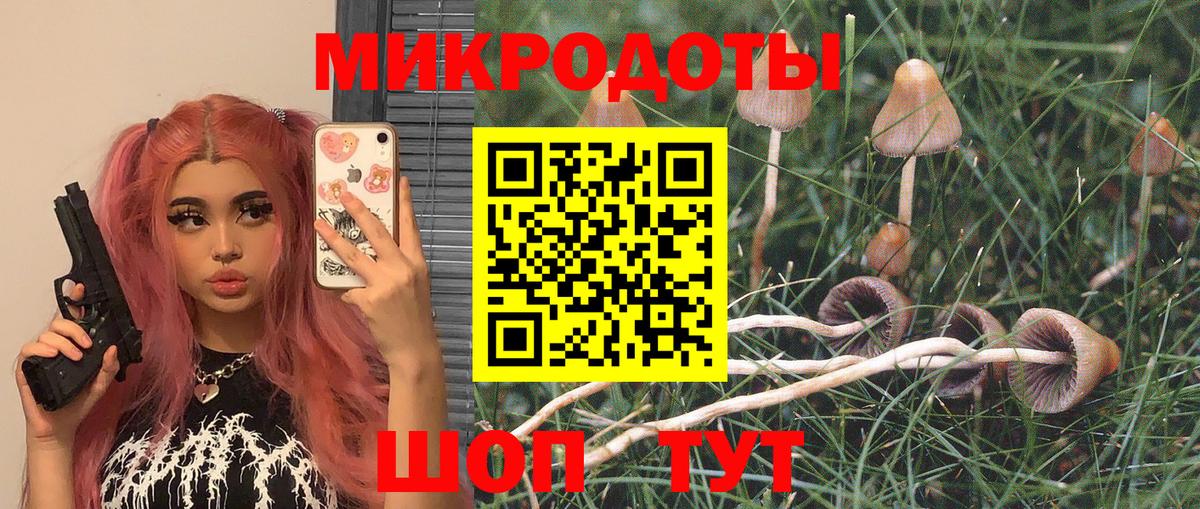 Галлюциногенные грибы мухоморы Рославль