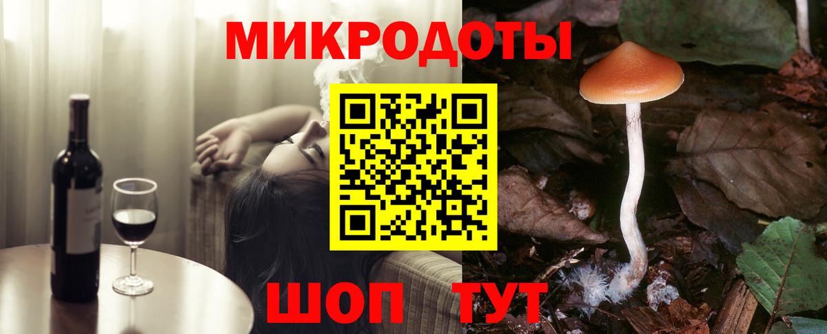 Рославль  Галлюциногенные грибы Psilocybine cubensis  Вход с VPN 